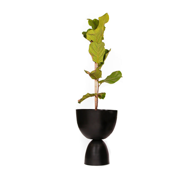 Maceta de Metal Everly - SPAACIO Design Central