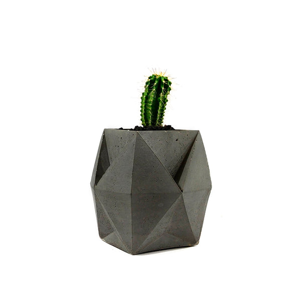 Maceta Acacia Negra-Spaacio-Tienda-Diseño-Mexicano-envío-gratis-mexico